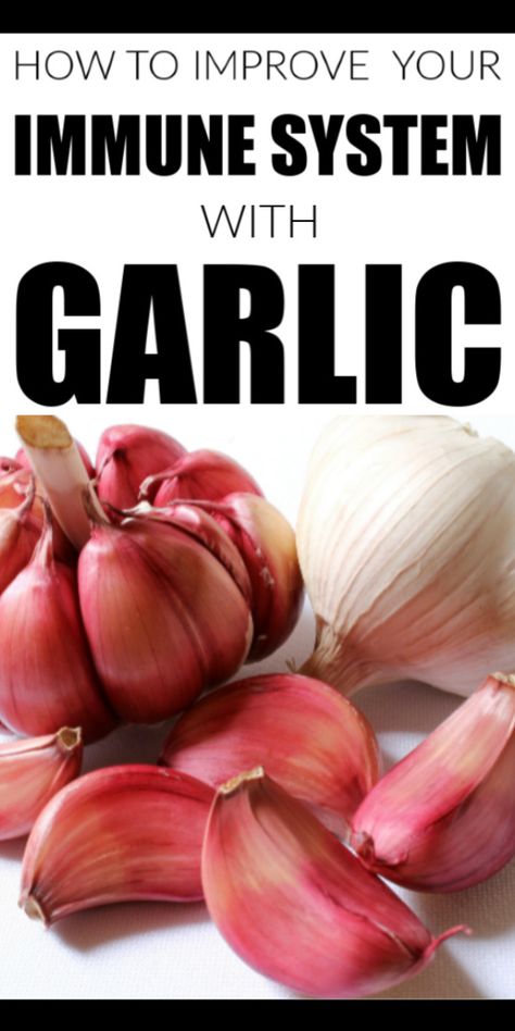 You may be wondering, how to improve your immune system with garlic?  Garlic is a plant in the onion family that is renowned for its many health benefits. Garlic Health Benefits Immune System, Garlic Quotes, Bell Pepper Juice, Heart Foods, Onion Benefits, Garlic Health, Garlic Health Benefits, Medicine Tips, Garlic Garlic