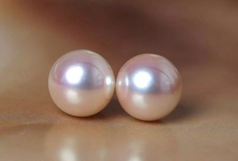 Superier Akoya Pearl 18K Gold Earrings, 18k Solid Yellow Gold Stud Earrings | eBay Yellow Gold Stud Earrings, 18k Gold Earrings, Pearl Earring, Gold Stud Earrings, Akoya Pearls, Natural Pearl, Gold Stud, Pink Pearl, The Pearl