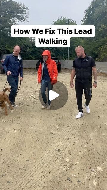 Southend Dog Training on Instagram: "How We Fix This Dogs Leash Pulling #dogs #dogtraining #viral" Dog Leash Pulling, Dogs Leash, Inspirational Board, December 7, Dog Leash, Dog Training, Puppies, Train, Snacks