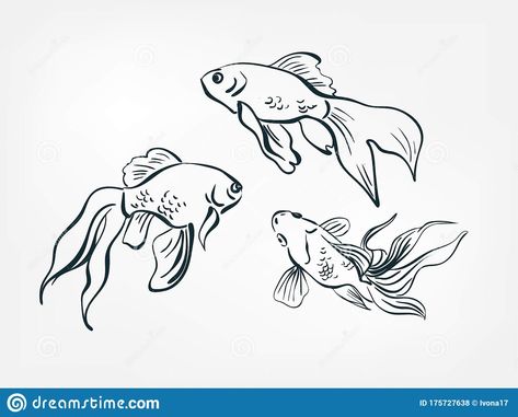 Illustration about Goldfish set collection japanese chinese oriental vector ink style design elements. Illustration of animal, beauty, monochrome - 175727638 Drawing Goldfish, Goldfish Drawing, Cartoon Goldfish, Goldfish Tattoo, Fish Sketch, Goldfish Art, Animal Stencil, Elements Illustration, Tattoo Now