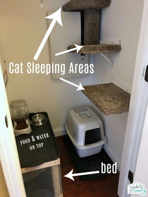 dog room out of closet #dogroomoutofcloset Cat Hacks, Cat Enclosure, Dog Rooms, Animal Room, Cat Training, Cat Sleeping, Cat Room, Cat Litter Box, Cat Diy