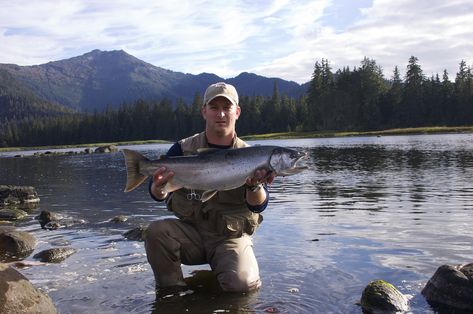 Some of the Most Popular Alaska Salmon Fishing Trips |  Alaska Garden Gate B&B and Cottages | Palmer, AK Alaska Garden, Alaska Salmon Fishing, Palmer Ak, Washington Lakes, Idaho Vacation, Alaska Salmon, Alaska Fishing, Fish Hatchery, Salmon River