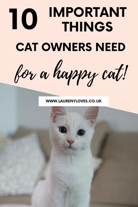 If you want to know how to keep your cat happy and healthy then you need to read this. Cats are not as easy to look after as people think but this will help you out with 10 essential things that will make your cat feel loved. Learn how to have a healthy cat and look forward to many long years with your feline friend. #petcaretips #catcaretips #pets Cat Owner Hacks, Cat Maintenance, Cat Behavior Facts, First Time Cat Owner, Cat Tips, Cat Happy, Cat Language, Cat Hacks, Cat Products