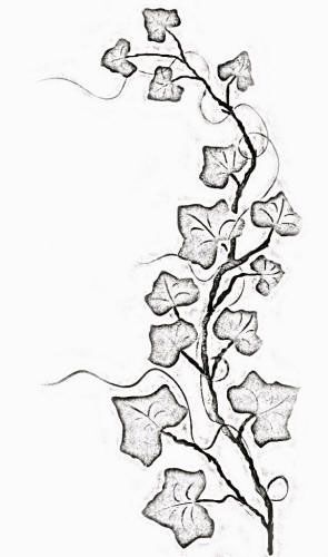 Ivy Cool Cross Tattoos, Jasmine Tattoo, Ivy Tattoo, Vine Drawing, Wrap Around Tattoo, Aztec Tattoos, Simple Tattoos For Guys, Ivy Vine, Vine Tattoos