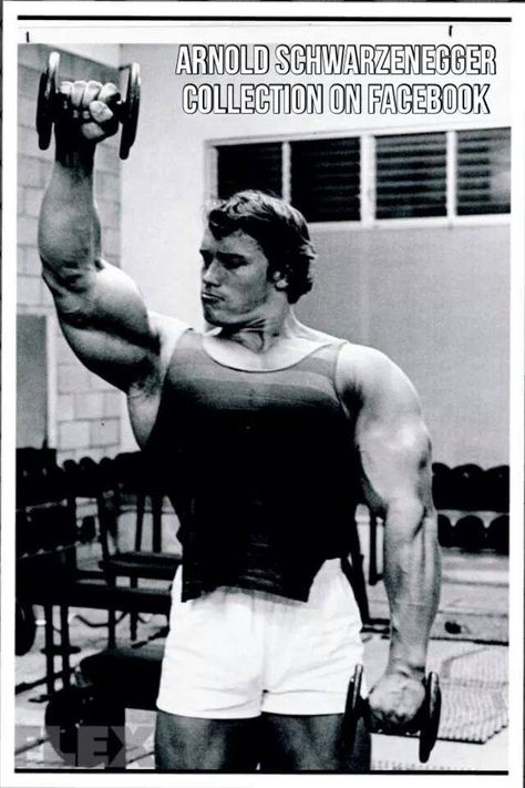 Arnold Schwarzenegger Arnold Schwarzenegger Gym, Arnold Schwarzenegger Muscle, Arnold Bodybuilding, Lee Haney, Arnold Schwarzenegger Bodybuilding, Schwarzenegger Bodybuilding, Phil Heath, Bodybuilders Men, Triceps Workout