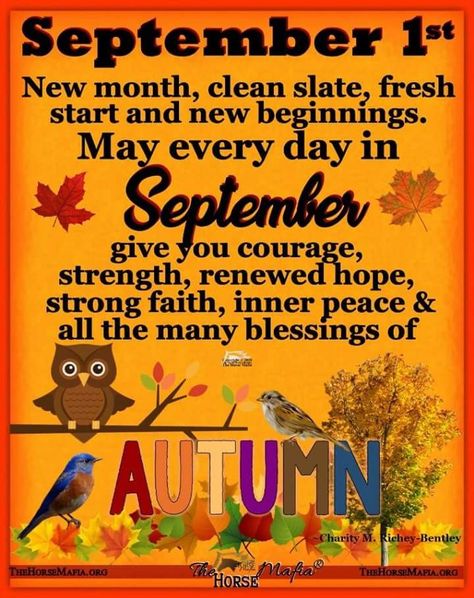 Happy September 1st Quotes, 1 September Quotes, 1st September Quotes, Happy New Month Images, Happy New Month Prayers, New Month Greetings, Exam Wishes Good Luck, New Month Wishes, September Quotes