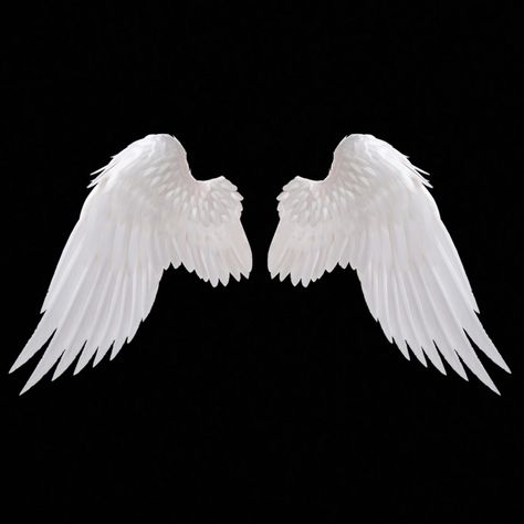 Angel Wings Green Screen, Angel Wings Aesthetic, Wings Overlay, Angel Wings Icon, Angel Wings Png, Projector Photography, Wings Icon, Wings Png, Crazy Tattoos