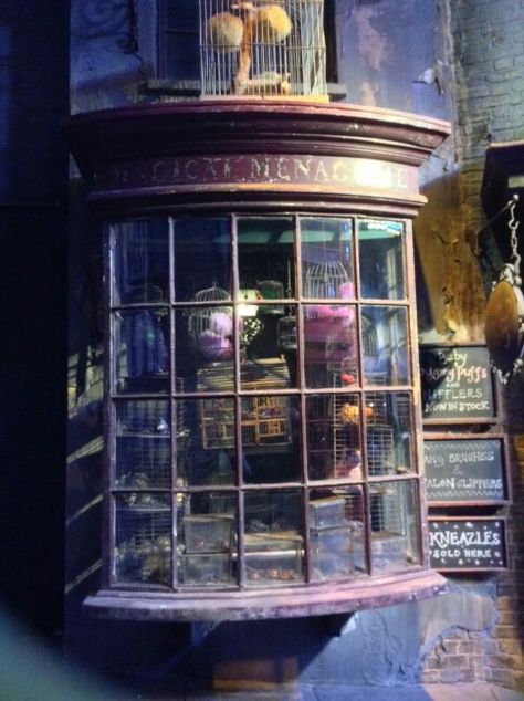 Magical Menagerie Diagon Alley Diagon Alley Artwork, Diagon Alley Store Fronts, Magical Menagerie Diagon Alley, Diagon Alley Brick Wall, Magical Menagerie, Eeylops Owl Emporium Diagon Alley, Harry Potter Studios, Diagon Alley, Theme Parks