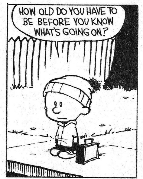 a la Calvin and Hobbes and also @ saint #existentialism #philosophy #calvinandhobbes Calvin And Hobbes Humor, Best Calvin And Hobbes, Brain Wash, Calvin And Hobbes Quotes, Grad Quotes, Calvin And Hobbes Comics, Snoopy Cartoon, Photo Caption, Writing Words