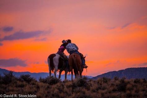 Horseback kiss Cowboy Sunset Painting, Vincent Core, Cowboy Poses, Cowboy Collage, Sunset Cowboy, Cowboy Scene, Cowboy Sunset, Cowboy Artwork, Western Sunset