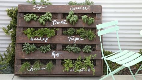 DIY wood pallet herb garden | CBC Life Pallet Herb Garden, Diy Wood Pallet, Herb Garden Pallet, Outdoor Herb Garden, Diy Herb Garden, Herb Garden Design, Vertical Herb Garden, Meteor Garden 2018, Vertical Gardens