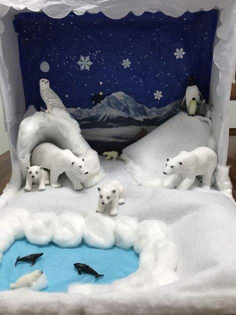 Polar Bear Diorama, Bear Diorama, Shoe Box Diorama, Arctic Habitat, Diorama Kids, Ecosystems Projects, Bear Habitat, Habitats Projects, Polar Bear Craft