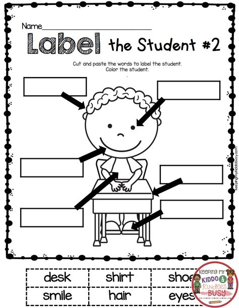 LABELING - back to school in kindergarten worksheet - practice CAP and matching - cut and paste label the student #kindergarten #backtoschool #labeling Labeling Kindergarten, Kindergarten Drawing, Back To School Worksheets, Worksheets For Kindergarten, Kindergarten Worksheets Printable, Kindergarten Lesson Plans, Free Lesson Plans, Kindergarten Writing, School Worksheets