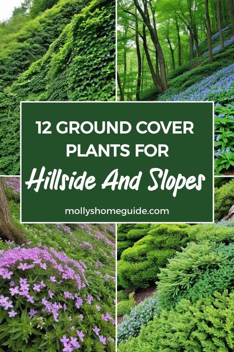 Discover the best ground cover plants for slopes and hillsides to add beauty and prevent erosion in your garden. Explore a variety of options, including evergreen varieties that bloom all summer long. Create a stunning landscape with these plants suitable for sloping gardens. Whether you're looking for shrubs for erosion control or ground cover plants for hillsides, we've got you covered. Implement these landscaping ideas to transform your yard into a lush oasis with effective ground covers. Mountain Laurel Landscaping, Shade Ground Cover Walkable, Plants For Hillside, Mound Landscaping Ideas, Ground Cover For Slopes, Sloped Front Yard Landscaping, Plants For Slopes, Gardening On A Slope, Ground Cover Ideas