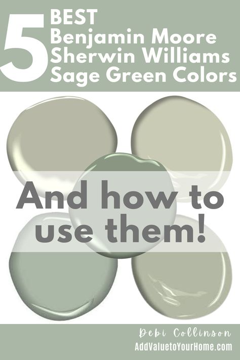 Sage green is an earthly muted shade of green + gray. Its the perfect marriage of these two colors and its crazy versatile. Depending on the shade and intensity, sage green can be used in any room or exterior. Its just a matter of finding the right color for your space!

Check out my favorite 5 BEST Sherwin Williams & Benjamin Moore sage green paint colors.

| sage green paint colors | Best Sherwin Williams Sage Green Paint Colors | Best Benjamin Moore Sage Green Paint Colors Muted Green Living Room Walls, Bm Gray Green Paint Colors, Sw Light Green Paint Colors, Sage Green And Black Laundry Room, Sage Wall Color Living Room, Shades Of Green Sherwin Williams, Privilege Green Sherwin Williams Kitchen, Clary Sage Sherwin Williams Kitchen, Beach Green Paint Colors