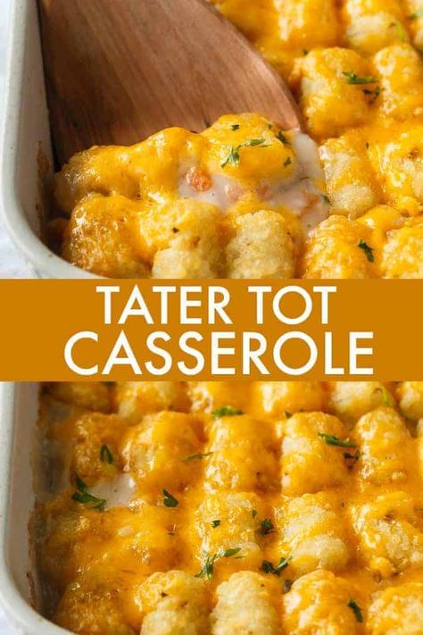 Tator Tot Recipe, Best Tater Tot Casserole, Easy Tater Tot Casserole, Cheeseburger Tater Tot Casserole, Special Diet Recipes, Tater Tot Recipes, Tofu Tacos, Paleo Brownies, Tater Tot Casserole Recipes