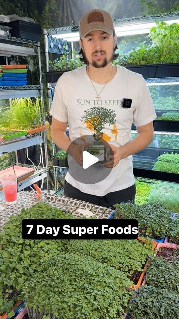 Microgreens Growing, Micro Greens, Vertical Farming, Grow Kit, Healthy Salads, Superfoods, Healthy Food, Healthy Recipes, On Instagram