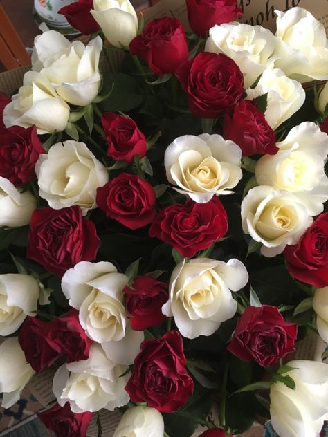 Red And White Roses Wallpaper, Flowers Red And White, White Roses Wallpaper, Red Roses Garden, Red Roses Wallpaper, Red And White Roses, Favourite Flowers, Good Morning Flowers Pictures, Unique Bouquet