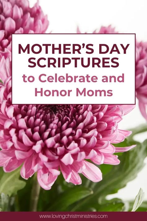 Uplifting and inspiring scriptures for Mother's Day that celebrate and honor the special role of mothers in our lives. #mothersday #scripturesaboutmothers Mothers Day Scripture, Mothers In The Bible, Godly Mother, Proverbs 31 26, Christian Devotions, She Is Clothed, Prayer Scriptures, Christian Parenting, Christian Encouragement