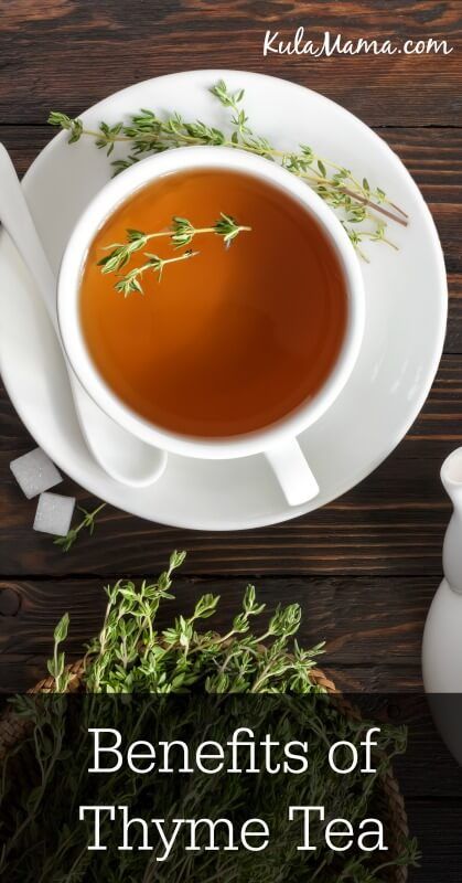 Benefits Of Thyme, Health Benefits Of Thyme, Le Mal A Dit, Thyme Tea, Tomato Nutrition, Healing Tea, Coconut Health Benefits, Stomach Ulcers, Benefits Of Coconut Oil