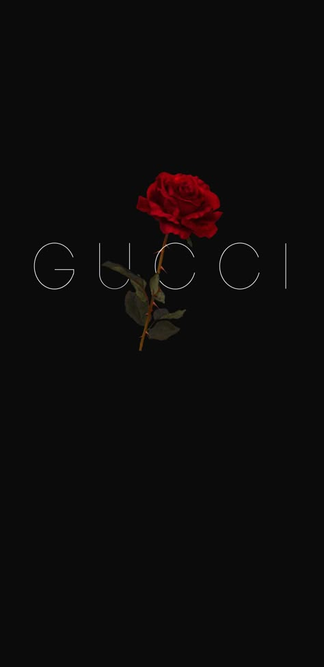 Gucci and Rose wallpapers Gucci Black Wallpaper, Gucci Iphone Wallpaper, Red Gucci Wallpaper, Apple Watch Wallpaper Gucci, Aesthetic Gucci Wallpaper Iphone, Gucci Wallpaper Aesthetic, Gucci Logo Wallpapers, Gucci Aesthetic Wallpaper, Gucci Background