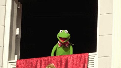 Kermit Gif, Kermit The Frog Gif, Kiss Gif, Kermit The Frog, The Frog, Sesame Street, Smiley, Kiss, Gif