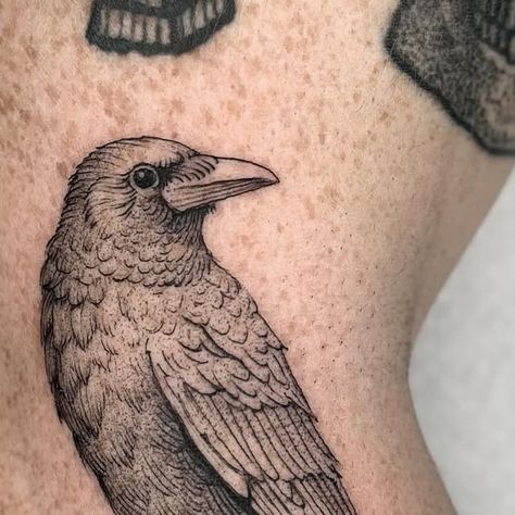 Raven Tattoo, Tattoos