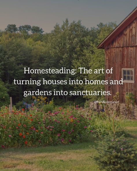 The perfect life 🫶 #homesteading #selfsufficiency #livingofftheland #homesteadlife #modernhomesteading #gardening #simpleliving | Instagram Homestead In The Woods, Homestead Quotes, Homesteading Quotes, Homestead Instagram, Rural Homestead, Simple Homestead, Garden Homestead, The Perfect Life, Modern Homesteading