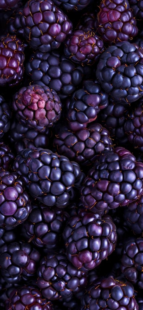 Purple Savory Food, Deep Plum Color Palette, Blue Violet Aesthetic, Purple Aesthetic Food, Mulberry Aesthetic, Aubergine Color Aesthetic, Deep Purple Aesthetic, Purple Fruit Aesthetic, Amora Aesthetic Fruta