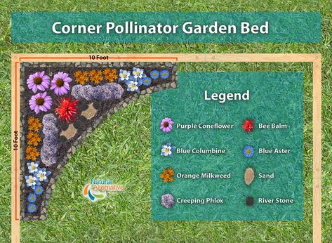 A Corner Pollinator Garden Plan to help you naturally attract pollinators to your garden. This plant-a-gram works not only for butterflies, but bees, hummingbirds, and even hummingbird moths! #gardening #gardenplan #organic Flower Garden Against House, Perrenial Garden Layout, Hummingbird Garden Layout, Corner Garden Plan, Corner Flower Garden, Perrenial Gardens Layout, Bee Garden Plan, Corner Gardens, Butterfly Garden Plans Layout