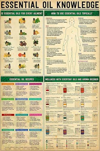 Infographic Posters, Essential Oil Chart, Essential Oil Perfumes Recipes, Diy Herbal Remedies, Medicinal Herbs Garden, Essential Oils Health, Infographic Poster, 1000 Life Hacks, Essential Oil Blends Recipes