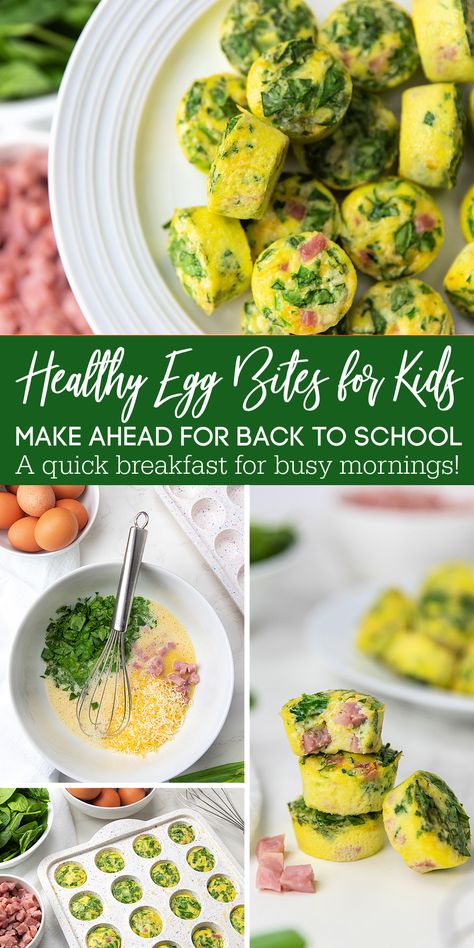 Spinach Egg Bites For Baby, Egg Bites For Kids, Egg Bites For Toddlers, Egg Bites Toddler, Egg Bites Freezable, Blw Egg Bites, Egg Bites For Babies, Toddler Egg Bites, Freezer Egg Bites