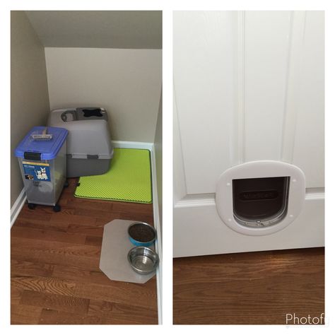 Closet under the stairs converted into a cat room. Cat Box Under Stairs, Under The Stairs Cat Room, Cat Room Under Stairs, Room Ideas Under Stairs, Cat Cupboard, Room Ideas Closet, Ideas Under Stairs, Dog Bedroom Decor, Cats Room