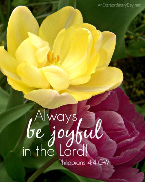 Budget Home Decor, Be Joyful, Diy Budget, Ayat Alkitab, Biblical Verses, Flower Quotes, Bible Verses Quotes Inspirational, Biblical Quotes, Religious Quotes