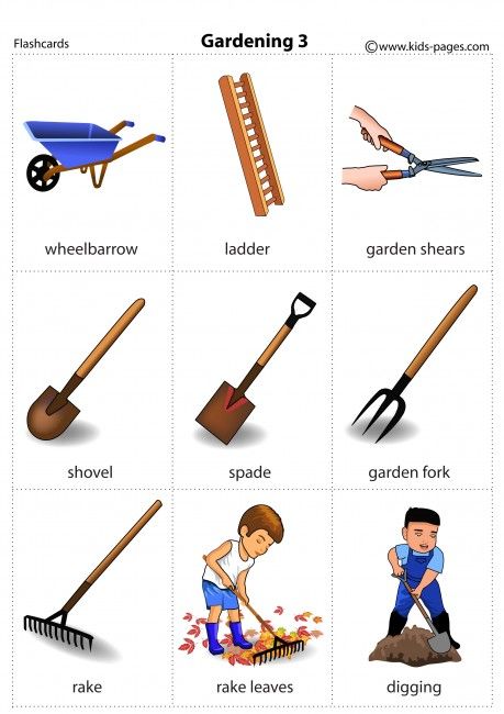 English Grammar Games, Ladder Garden, Garden Words, Ielts Vocabulary, Types Of Gardens, Garden Rake, Esl Vocabulary, Teaching English Grammar, Learning English For Kids