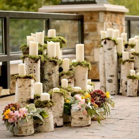 Birch Wedding Decor, Arch Greenery, Wedding Decorations Reception, Wedding Arch Greenery, Moody Wedding Decor, Birch Tree Decor, Classy Wedding Decor, Birch Tree Wedding, Birch Wedding