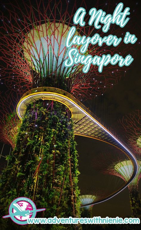 If you are looking to things to do overnight in Singapore or have a Night Layover in Singapore, this post is perfect for you! Find out some of the great things you can do overnight in Singapore. Traveling To Korea, Singapore Travel Tips, Visit Singapore, Things To Eat, Singapore Travel, Photography Guide, Asia Destinations, Backpacking Travel, Travel Bugs