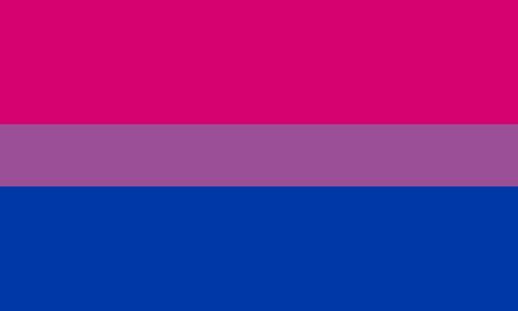 What Is Bisexual, Straight Flag, Iphone 5s Wallpaper, Queer Books, Bisexual Flag, Lgbtq Flags, Lgbt Flag, Social Determinants Of Health, Gay Romance