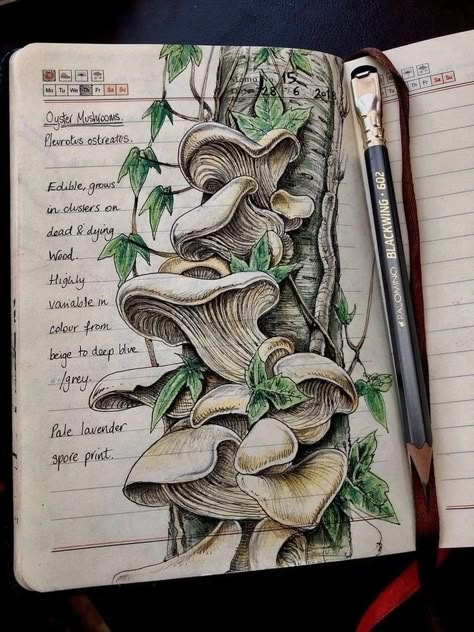 Natural Journal, Farm Journal, Fantasy Journal, Handcrafted Journals, Botanical Sketchbook, Plant Illustrations, Field Journal, Nature Journaling, Mushroom Drawing