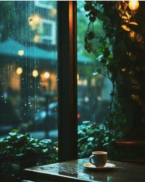 Day Window Ideas, Cozy Author Aesthetic, Moody Cozy Aesthetic, Moody Business Aesthetic, Raining Wallpaper Aesthetic, Tortured Poet Aesthetic, Writing Inspo Aesthetic Pictures, Cozy Rain Aesthetic, Rain Pictures Aesthetic