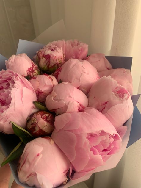 Peonies And Hydrangeas, Boquette Flowers, Nothing But Flowers, Peonies Bouquet, Flower Therapy, Beautiful Bouquet Of Flowers, Luxury Flowers, Beautiful Bouquet, Beautiful Blooms