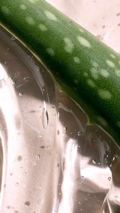 This DIY Aloe Vera Hair Mask Will Help Nourish Your Hair and Scalp Photoshoot Face, Beauty Tiktok, Aloe Vera Hair, Hair Mask Recipe, Aloe Vera Hair Mask, Clean Scalp, Best Hair Mask, Natural Hair Mask, Aloe Vera For Hair