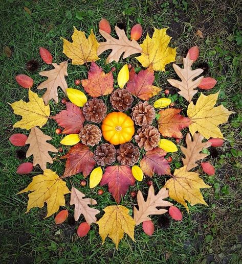 Landart Ideas, Natural Mandala, Autumn Mandala, Leaves Mandala, Nature Mandalas, Mandala Nature, Season Of Gratitude, Nature Mandala, Creative Arts Therapy