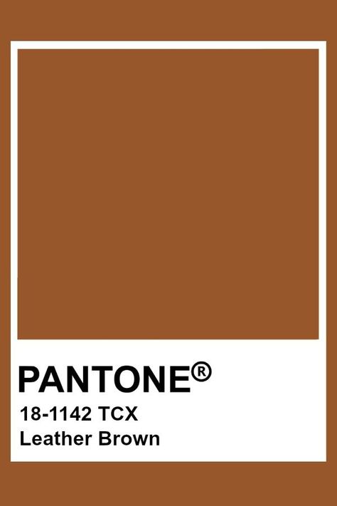 Pantone Leather Brown Witty Art, Brown Pantone, Pantone Tcx, Pantone Swatches, Pantone 2020, Pantone Palette, Pantone Colour Palettes, Good Summer, Color Analysis