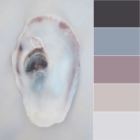 Oyster Shell Wedding Color Palette Inspiration from The Styled Soiree Pearl Wedding Colors, Oyster Color Palette Wedding, Oyster Shell Color Palette, Mother Of Pearl Color Palette, Costal Wedding Colors, Oyster Color Palette, Shell Color Palette, Pearl Color Palette, Coastal Wedding Colors