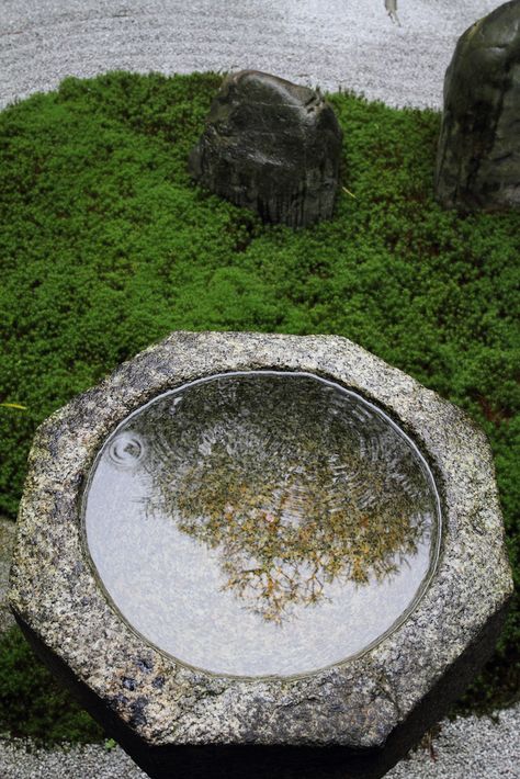 The Zen garden in Ryousokuin temple in Kenninji, ideal for a small Zen space as water is an essential element Diy Reflecting Pool, Outdoor Zen Garden Design, Garden Altar, Outdoor Zen Garden, Water Mirror, Moon Pool, Stone Pool, Zen Garden Design, Pool Landscape