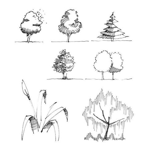 Some more vegetation studies. Happy Monday! #SketchLikeAnArchitect . . . . . #sketchlikeanarchitect #learntodraw #stepbysteptutorial #3Ddrawings #sketchingtips #architectureillustration #urbansketching Arch Tree, Architectural Trees, Tree Types, Pencil Drawing Ideas, Plant Sketches, Landscape Design Drawings, Landscape Architecture Drawing, Nature Sketch, Tree Sketches