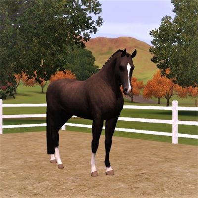 Valegro by Tovis123 - The Exchange - Community - The Sims 3 Sims 3 Horse Cc, Sims 3 Horses, Sims 3 Pets, Sims 3 Generations, The Sims 3 Pets, Egyptian Furniture, Horse Age, Sims Pets, 3 Horses