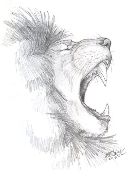 Lion Side Profile, Lion Sketch, Lion Drawing, African Lion, Draw Animals, Desenho Tattoo, Lion Art, Pencil Art Drawings, Animal Sketches