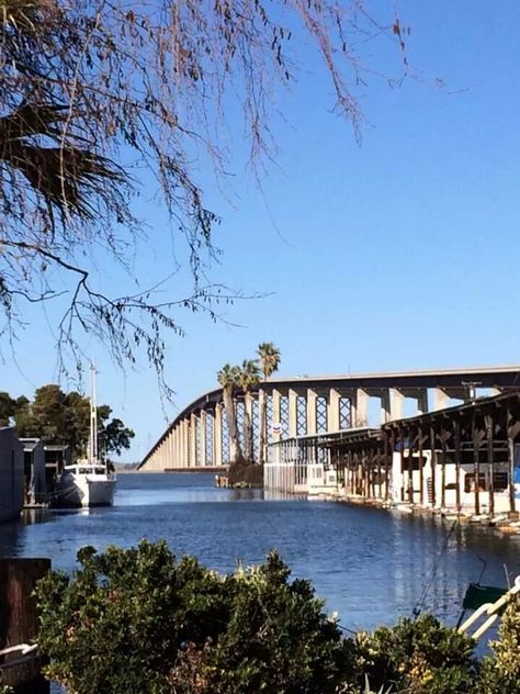 Antioch CA Antioch California, 2024 Manifestation, California Towns, River Life, Lone Tree, Manifestation Board, Pacific Ocean, Golden State, The Cross